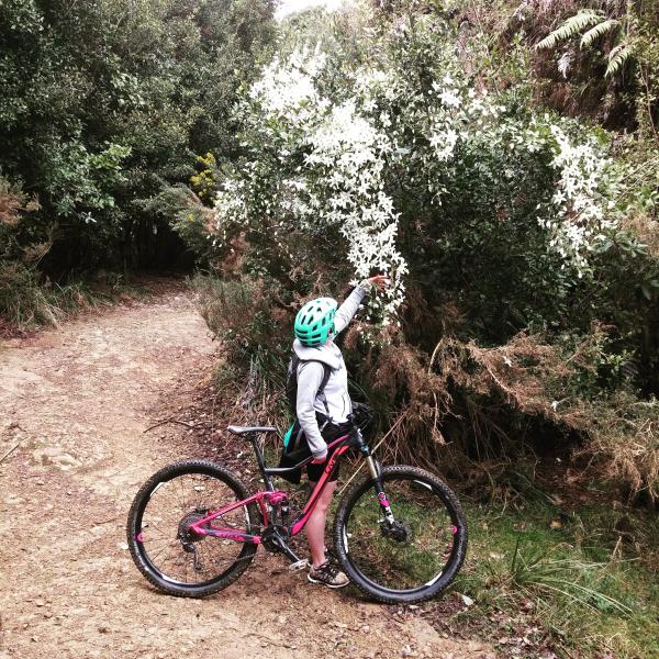 Riding in the Akatarawas